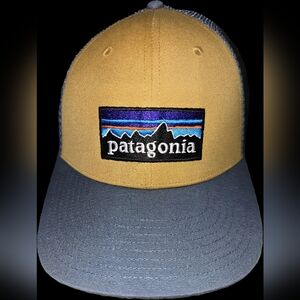 Patagonia Gold and Gray Trucker Hat